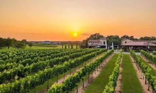Entertainers Paradise 16m to wine trail 2 kings - Blanco - 0