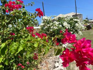 ABBE Garden Hideaway - Saint Philip - 3
