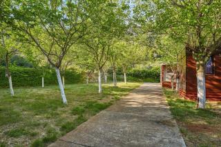 Apartments with parking space Babino Polje, Mljet - 22319 - 4