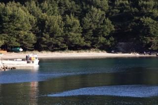 Apartments with parking space Korita, Mljet - 22342 - 5