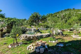 Apartments with parking space Korita, Mljet - 22342 - 4