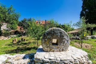 Apartments with parking space Korita, Mljet - 22342 - 2