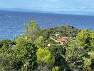 Seaside holiday house Cove Mala Svitnja, Vis - 22345 - 8