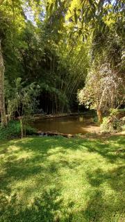 Sitio Na Serra da Mantiqueira - 4