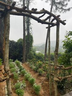 Cao Vintage Villa - Venuestay - Tam Ðảo - 2