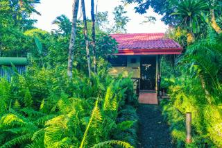 Maquenque Ecolodge - 6