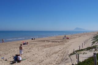 Apartamento La Vela 9 - Oliva - 8