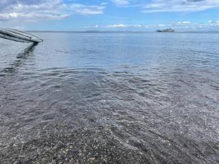 Beachfront house - Anilao - 9
