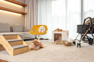 Somerset Jeju Shinhwa World - 2