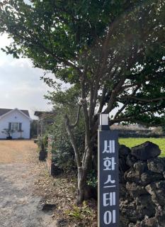 Sehwa Stay - Jeju - 3