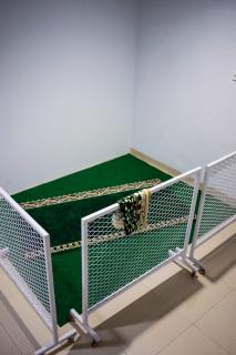 Kareem Syariah Hostel Bukittinggi - 1