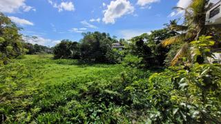Serenity Lodge - Galle - 6