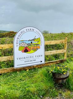 Geodome Glamping with sea views near Pendine - 5