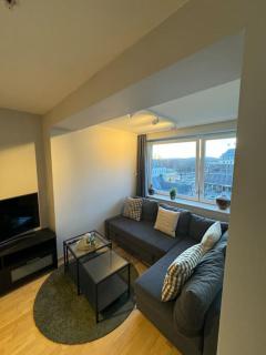 Amazing apartment by Opera house - Oslo - 5