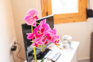 Aspro Apartments - 3