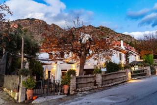 Hotel Rural Alqueria de los lentos - Nigüelas - 8