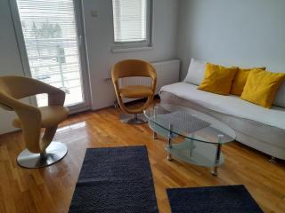 ARS VIP Apartment - Novi Sad - 7