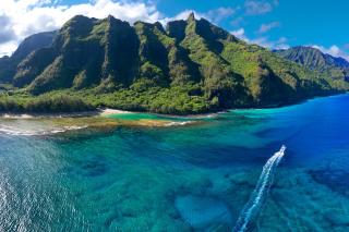 Pili Mai 7J - Koloa - 1