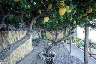Spring Boutique Villa Amalfi - San Lazzaro Agerola - 4