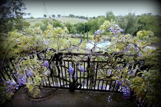 Gîte le chant des tournesols piscine chauffée - 1