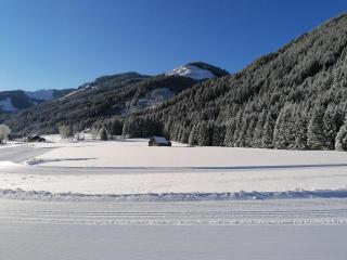 Leitnerbauer's Troadkasten - Donnersbach - 4