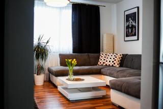 Coldweek apartment - Samorin near X-bionic sphere - Šamorín - 3
