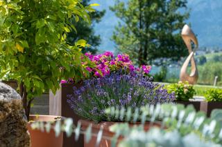 Seehotel Restaurant Lackner - Mondsee - 4