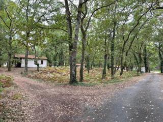 CAP VILLAGE - Barbaste - 5