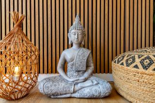 LA VILLA BALI A CANNES - 7