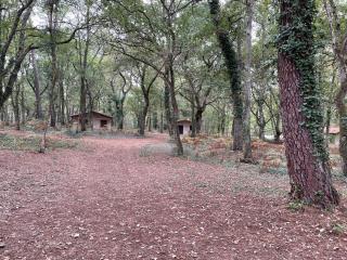 CAP VILLAGE - Barbaste - 4