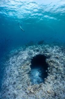 Amilla Maldives - Finolhus - Kanifushi - 1