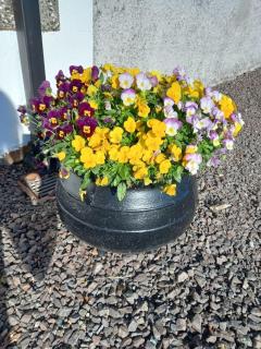 Bramble Cottage - Dungannon - 8