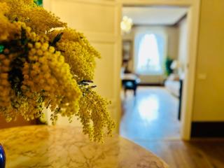 Domus An- Two Bedrooms Apartment -Antique and Historical Home - Siena - 3