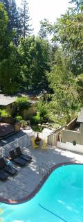 Cottages On River Road - Guerneville - 1