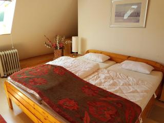 Drei - Raum - Ferienwohnung Kranichblick - - 2