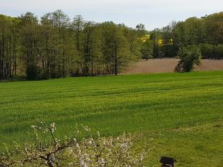Drei - Raum - Ferienwohnung Kranichblick - - 7