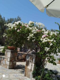 Charouda stone tower xenonas - Pyrgos Dirou - 7