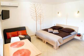 Zenja - nature property - garden - parking yard - Divača - 4