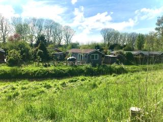 Rosa's zonnige huisje bij duinen bos en strand - 1
