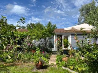 Rosa's zonnige huisje bij duinen bos en strand - 9