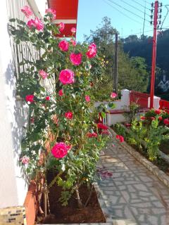 Hospedagem Virginia Bracelli - 7