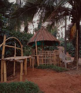 Greens and view's - Kalpetta - 2
