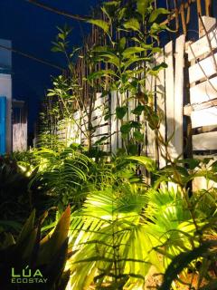 Lúa Ecostay trên bờ biển - 7