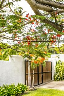 Windance Villa - Mount Irvine - 8
