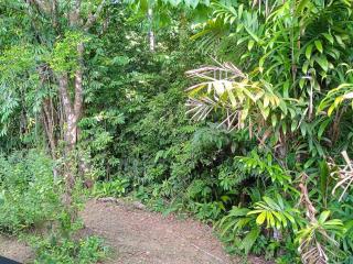 Cabañas Bajo Bosque Drake - 4