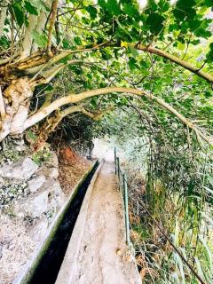 Vila Juntos by Your Madeira Rentals - 5