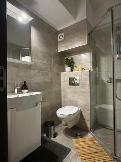 Boulevard Apartment - Râmnicu Vâlcea - 3