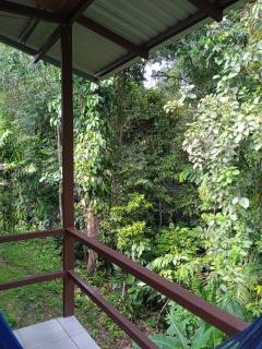 Cabañas Bajo Bosque Drake - Drake - 9