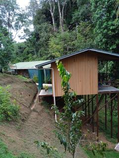 Cabañas Bajo Bosque Drake - Drake - 7