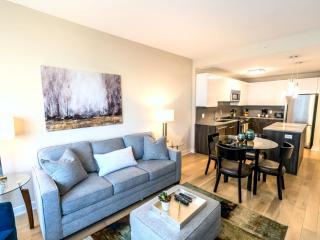 Spacious Apt Downtown with Gym - AS-9J - Stamford - 6